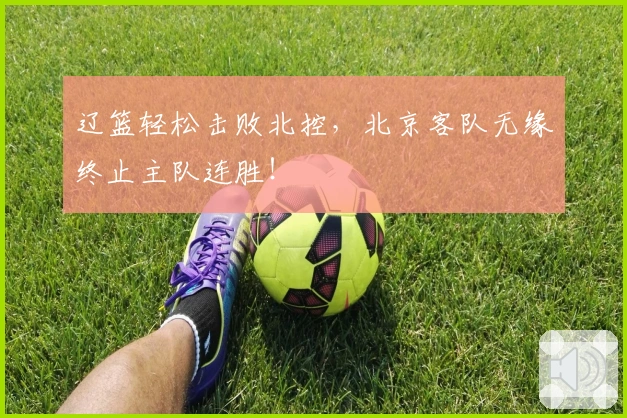 辽篮轻松击败北控，北京客队无缘终止主队连胜！